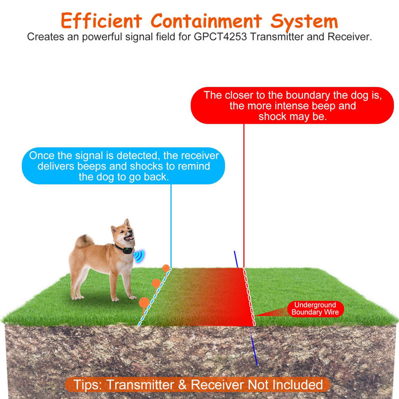 Dog Fence System