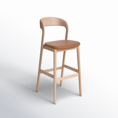 Kayla Leather Bar & Counter Stool