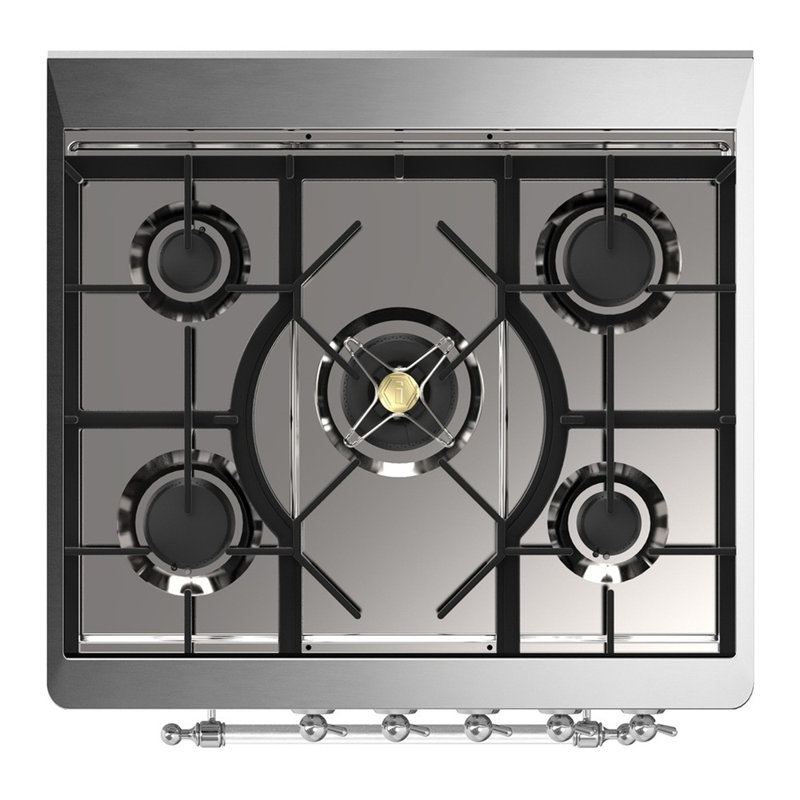 Majestic III Series 30 Inch Dual Fuel Range with 5 Sealed Burners in Emerald Green (Natural Gas, Burnished Trim), Blue Gray