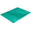 Tapis vert / noir 9 pi 3 po x 12 pi 1 po Overyed One-of-a-Kind