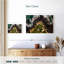 Parcours de golf Gillard Rocky Beach-111960440