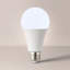 15W E27/Medium LED GLS Light Bulb-62442664