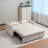 Sleeper Sofa Bed