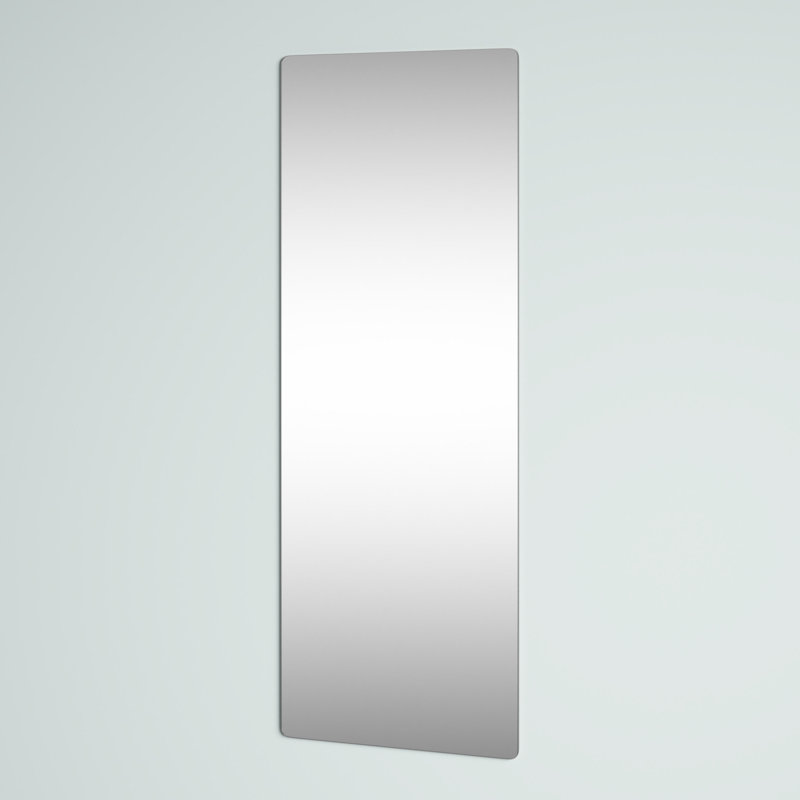 Silver Metal Staple Hill Room Wall Mirror, 24" x 1" x 65", 65" x 23.50"