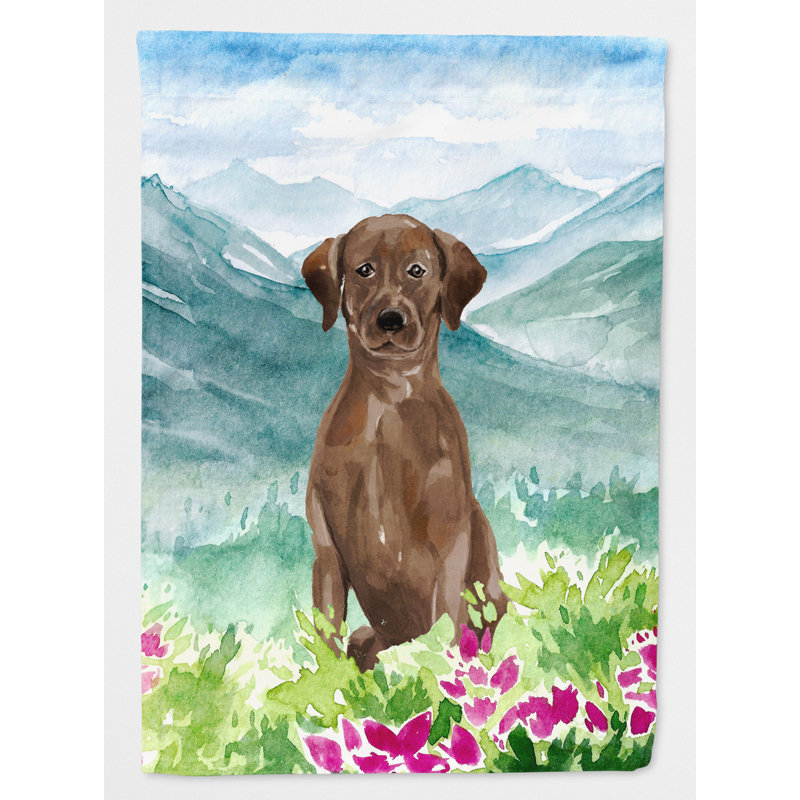 Yorkshire terrier yorkie à 2 côtés en polyester 15 x 11,5 po mountain fleurs drapeau de jardin, Laboratoire (brun foncé)