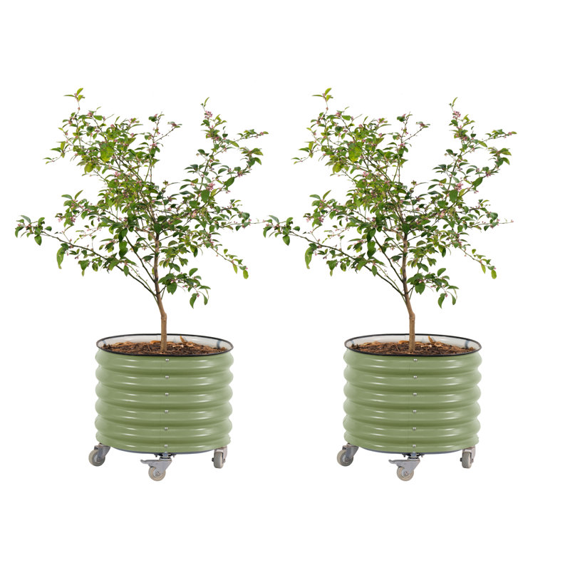 22" Tall 24" Wide Round Metal Outdoor Raised Garden Bed (Set of 2), 2, Olive Green
