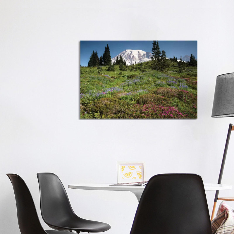 Wildflowers on a Hill, Mount Rainier National Park, Washington State, USA III 1 Piece Wrapped Canvas Wall Art