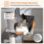 Grand arbre à chat et tour de 72 pouces pour chats d'intérieur - avec poteaux à griffes recouverts de sisal, perchoirs rembourrés, condos et panier-1235352841