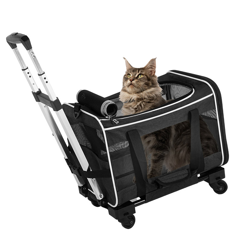 Pet Carrier
