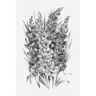 " Vintage Black And White Tall Drawing "