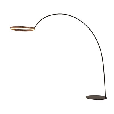 Rushell 82"" LED Arched Floor Lamp -  Orren Ellis, 9D6CB95708A6437291193995626B5578