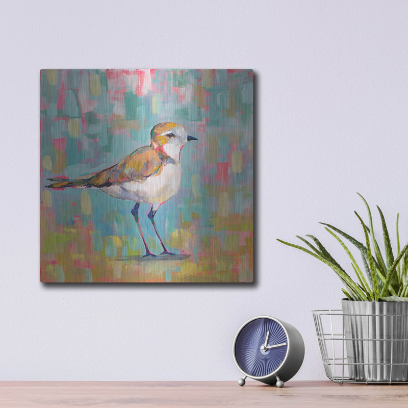 «Coastal Plover III» par Jeanette Vertentes, H 12 po x l 12 po
