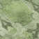 Premium Machine Washable Cerrito AMF564 Green Rug