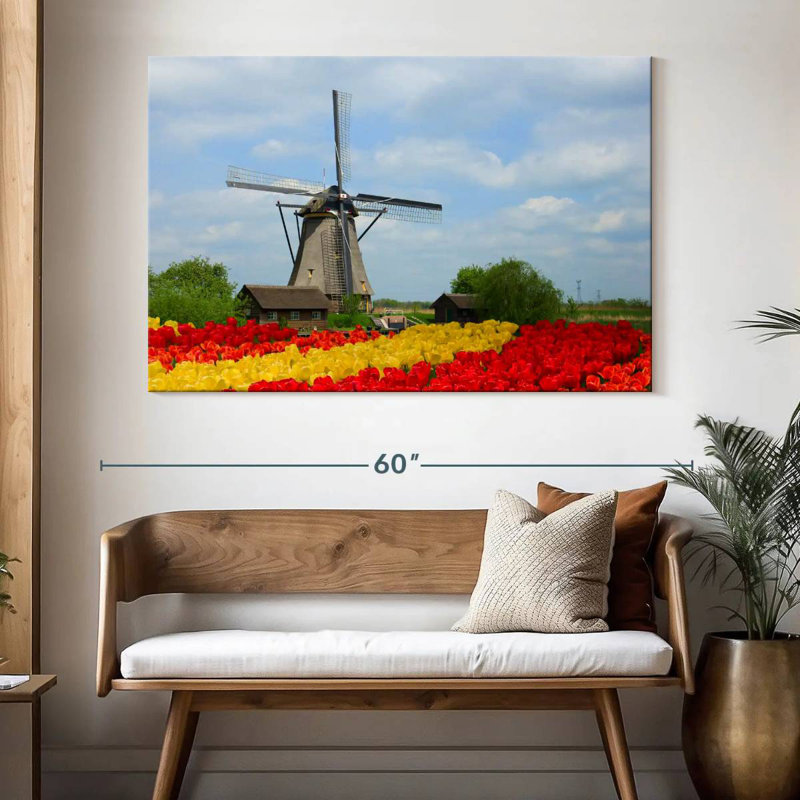 Tulipes Alvord, H 34 po x l 51 po