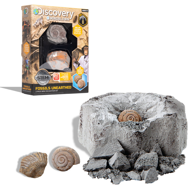 Mini Fossil Set