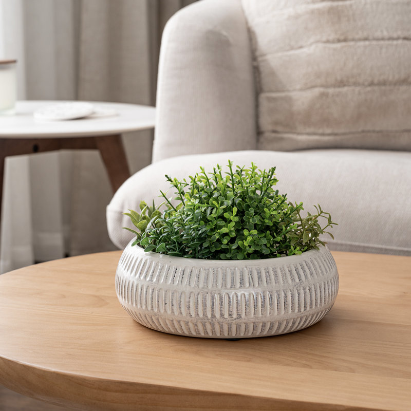 Pot Planter