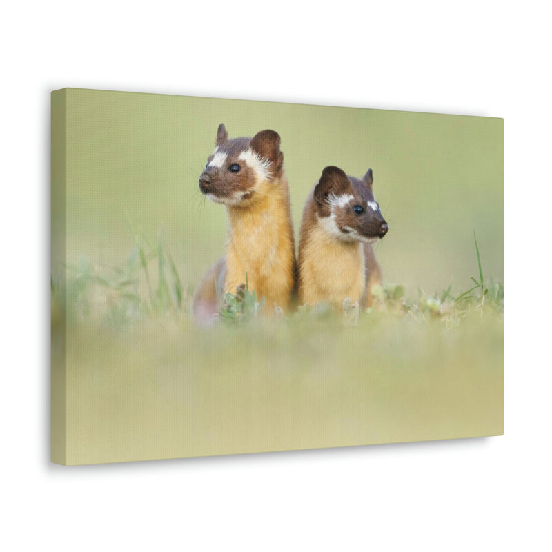 No Frame Print on Canvas, 30.48cm H x 40.64cm W