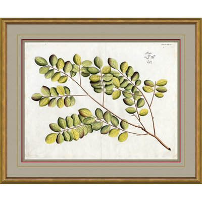 Malaberica Leaves in Color 4 Framed