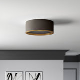 Hafner Flush Mount