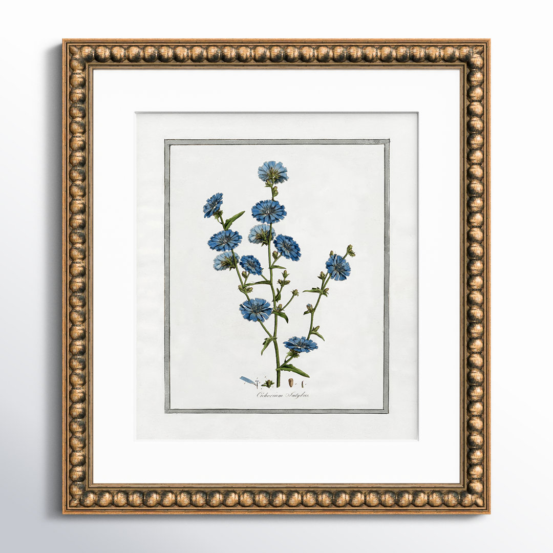 Colombe Soft Botanical I - Framed Art Full Bleed Birch Lane™ 