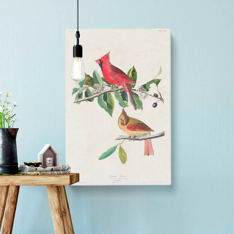Cardinal Grosbeak Birds by John Audubon - Wrapped Canvas, 50cm H x 35cm W x 3cm D