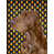 Field spaniel sélectionné