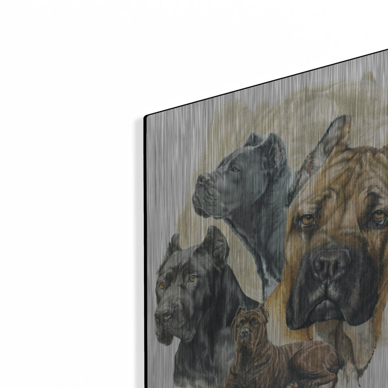 "Cane Corso" par Barbara Keith, H 16 po x l 12 po