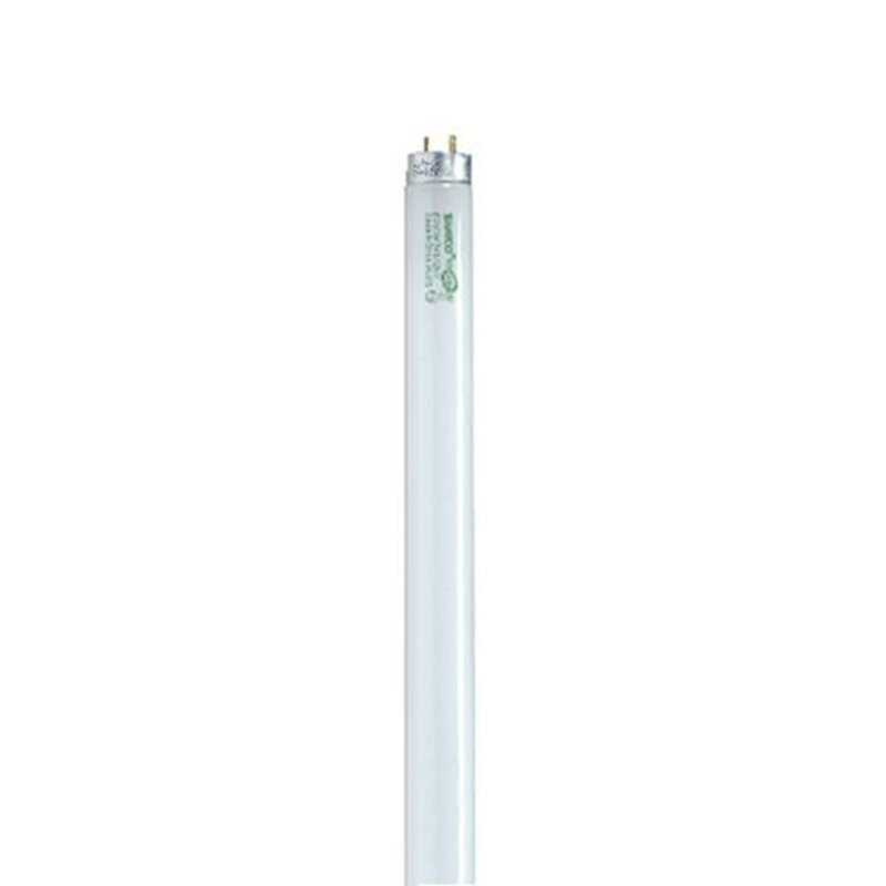 Ampoule fluorescente simple à deux broches T8 de 32 watts de 48 po de largeur - 2950 lumens et 4100K
