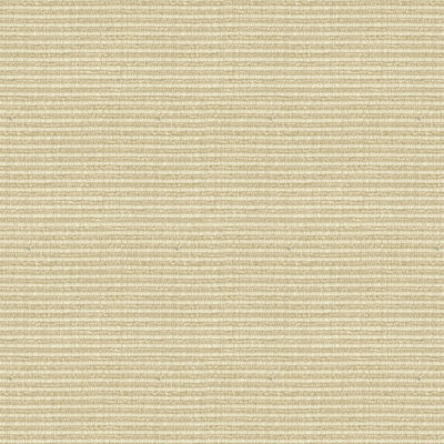 Texture Fabric