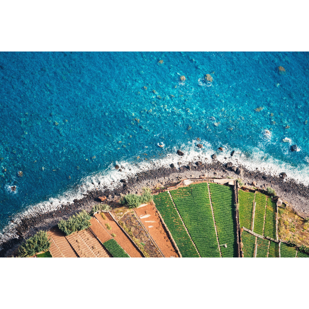 Felder am Meer - Leinwandbild