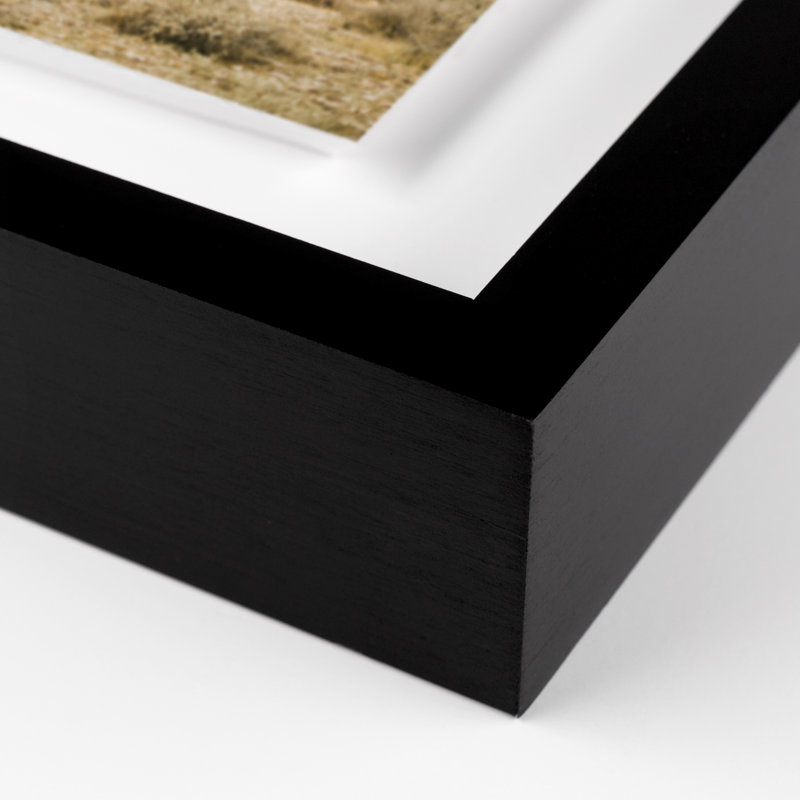 High Desert Print by Wesley And Emma Teague, 32" H x 32" W, Black Maple Framed