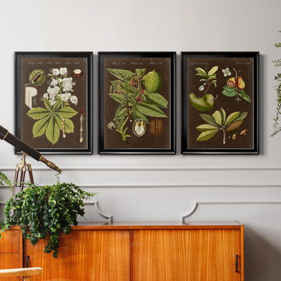 " Chestnut On Suede " 3 - Pieces Painting Print