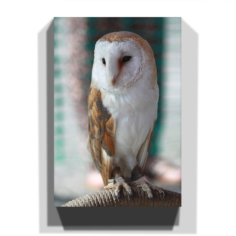Wrapped Canvas Print, 50cm H x 35cm W