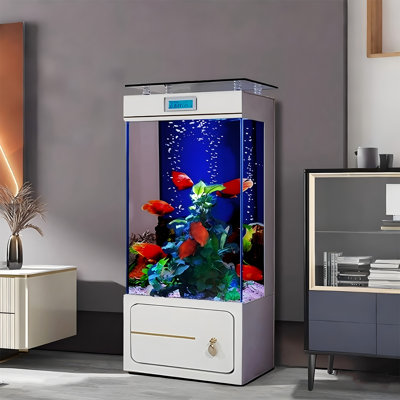 Aquarium de luxe 19,69 po