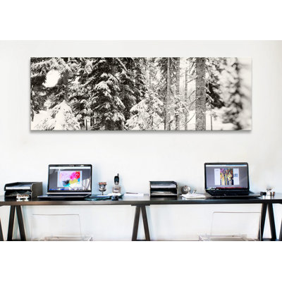 " Snow Covered Evergreen Trees At Stevens PassWashington State, USA " by Panoramic Images