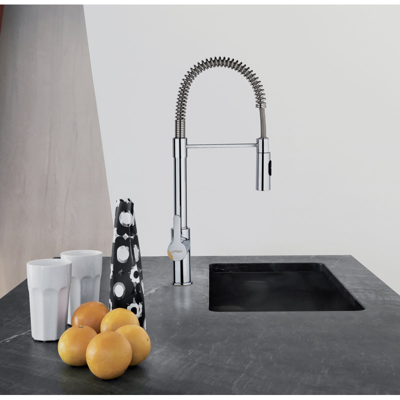 Arena Single Handle Spring Spout Kitchen Faucet, Chrome
