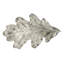 Leaves Novelty Pull-9086655