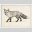Minimal Fox Sketch Framed Wall Art Prints - Black and white fox, for office-125211894-125211899