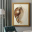 Imprimé Splendid Shells III-1385888432