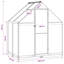 vidaXL Garden Greenhouse Anthracite Aluminum and Galvanised Steel Outdoor-134288130