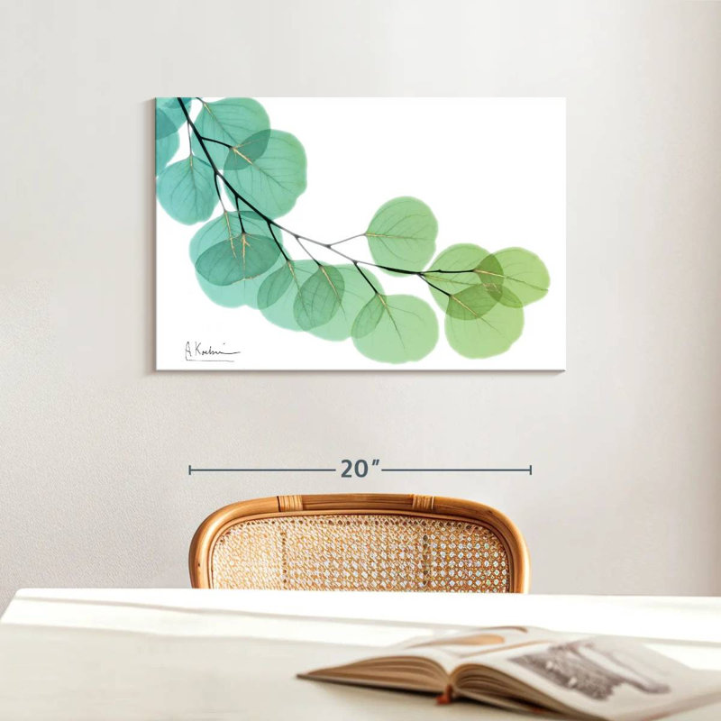 Harnek Golden Eucalyptus, 16" H x 24" W