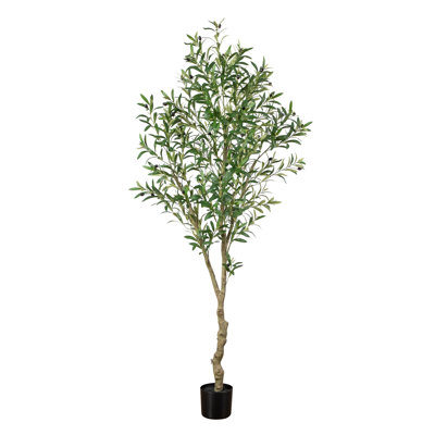 80 po Olive artificielle aérienne