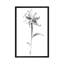 « ink tiger lily », impression sur toile-32866176-72236931-72236937