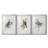 " Spring Song Blue Bird "-1853986311-1853986310