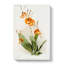 Magnolia Flowers Illustration Tab.84 by Frederick Sander - Wrapped Canvas-55312207