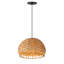 Luminaire suspendu noir à 1 lumière Woodsdale
