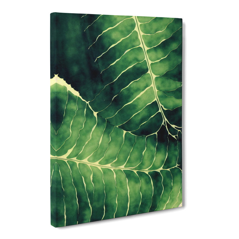 Locksly Fern Leaf In Watercolour Vol.2 - Wrapped Canvas, 50cm H x 35cm W x 3cm D