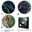 «Jungle Leopard In The Wild», reproduction sur toile-1282815702-1282815697