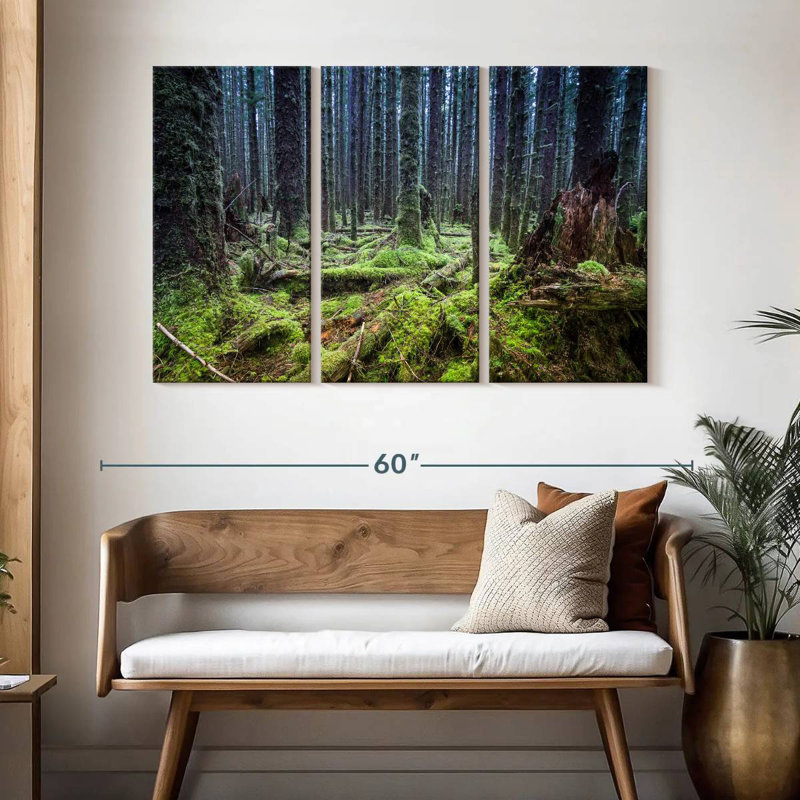 Forêt tropicale Alvord Mossy Hoh, H 32 po x l 50 po