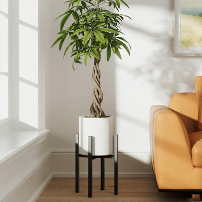 Adjustable Metal Plant Stand Indoor & Outdoor, Single Indoor Plant Stand Fits 8-12 Inch Pots, Black Stand For Indoor Plants, Pot Plant Not Included by Latitude Run